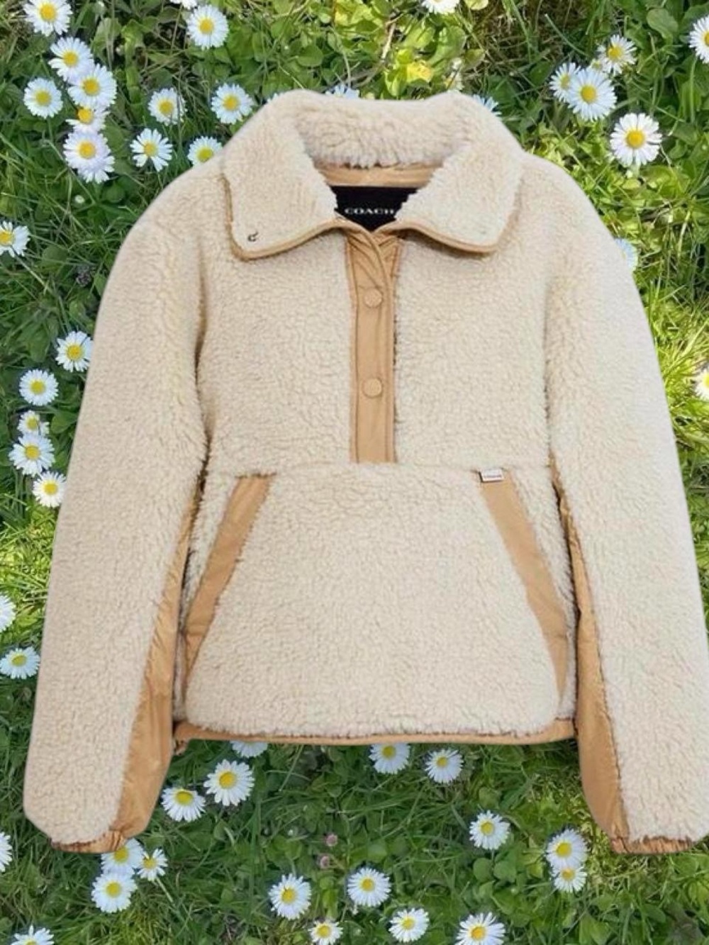 Coach Cream Sherpa Pullover with Tan Trim